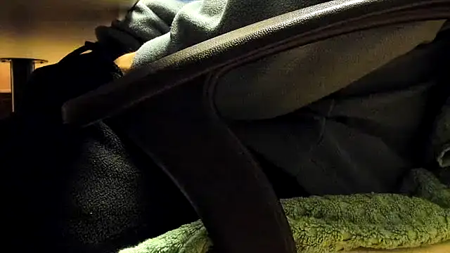 leccaleccafiga online show from 02-03-26, 08:30