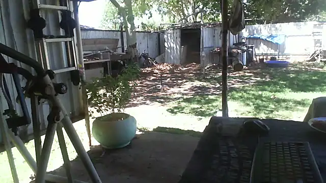 herbie010666 online show from 12-02-25, 03:56