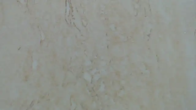 Crazy team  online show from 12-29-24, 12:41