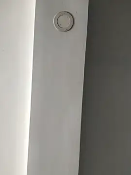 ElsecretodeBruno online show from 02-18-25, 06:15