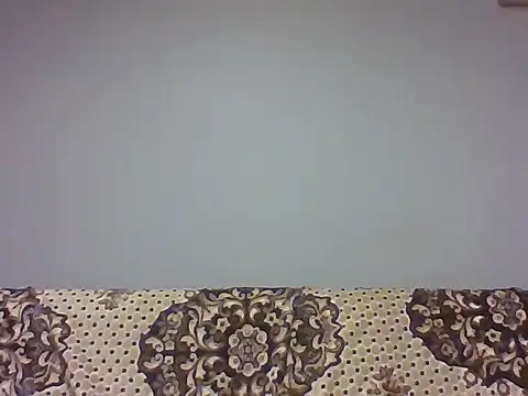 Snapshot of aroj95 chatting on 11-09-25, 04:44 aroj95 online show from 11-09-25, 04:44