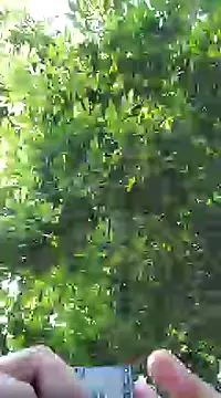 pene8991 online show from 01-17-25, 07:16