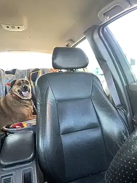 steph19x5 online show from 04-20-26, 05:16