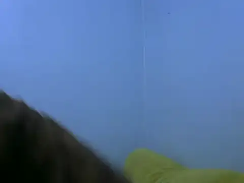 Forsia online show from 02-06-25, 05:57