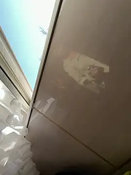 TigerOne19 online show from 03-09-26, 07:34