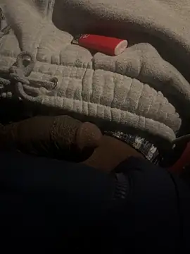 dingoding online show from 02-22-25, 01:44