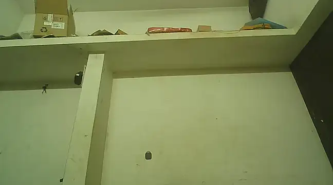 Akhilamolu the transsissy online show from 01-20-25, 06:10