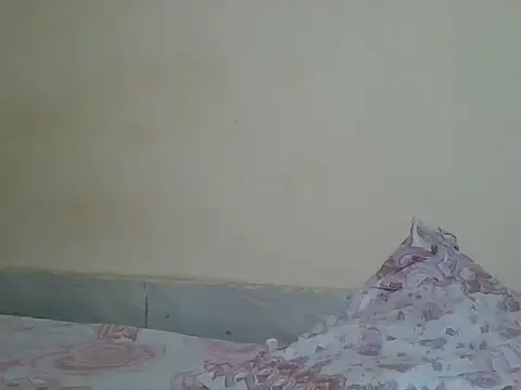 sexyjanett online show from 04-21-26, 05:50