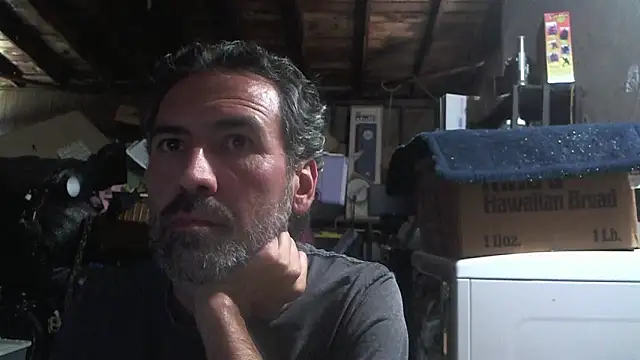 Snapshot of Anarchy_Burger chatting on 03-13-26, 07:31 Anarchy Burger online show from 03-13-26, 07:31