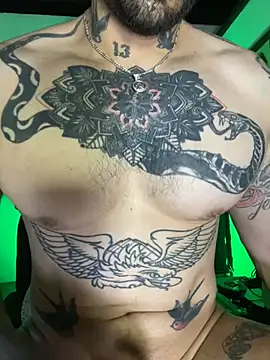 Snapshot of CamiloGray_ chatting on 02-13-25, 01:37 CamiloGray online show from 02-13-25, 01:37