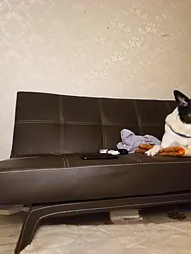 Snapshot of Marushka chatting on 12-21-24, 06:12 Marushka online show from 12-21-24, 06:12