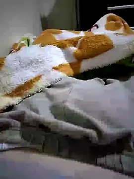 shiiank online show from 05-27-26, 03:14