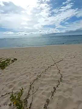 Snapshot of LightedWoman chatting on 01-02-25, 11:52 LightedWoman online show from 01-02-25, 11:52