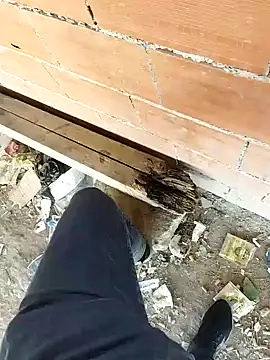 K-27 online show from 10-05-25, 09:07