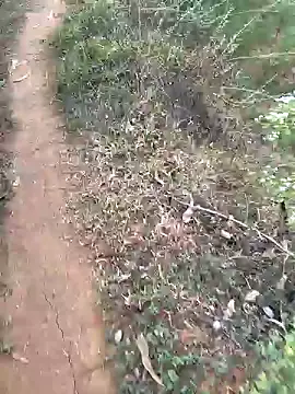 Gopal1243 online show from 01-15-25, 02:27