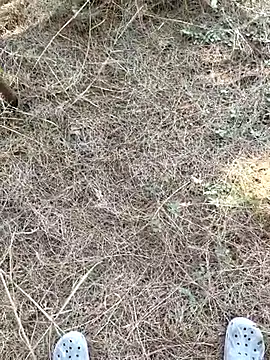 Snapshot of Gopal1243 chatting on 01-09-26, 07:55 Gopal1243 online show from 01-09-26, 07:55