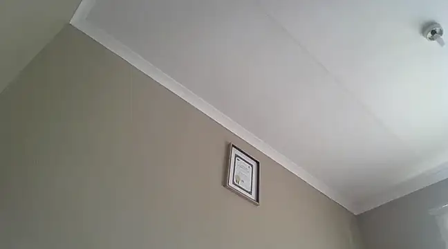 EbonySeductressx online show from 03-20-25, 10:43