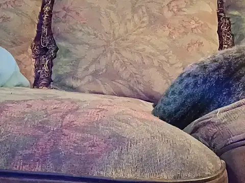 Snapshot of highstepper500 chatting on 12-02-25, 07:47 highstepper500 online show from 12-02-25, 07:47