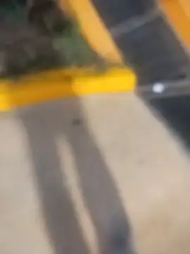 sagrado 1989 online show from 02-23-26, 01:47