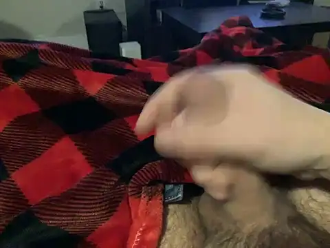 northcock87 online show from 12-11-24, 02:09