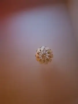 cuci45 online show from 03-31-26, 06:30