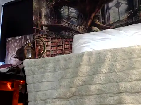 OSIRlS online show from 01-26-25, 07:31