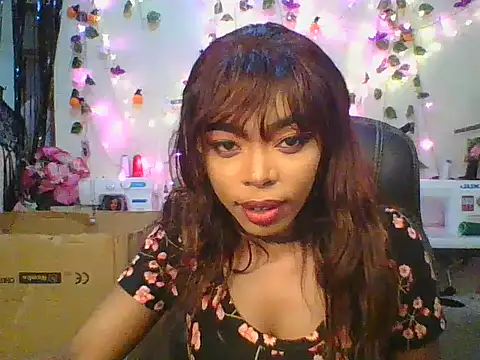 Anaconda2350 online show from 11-24-25, 11:10