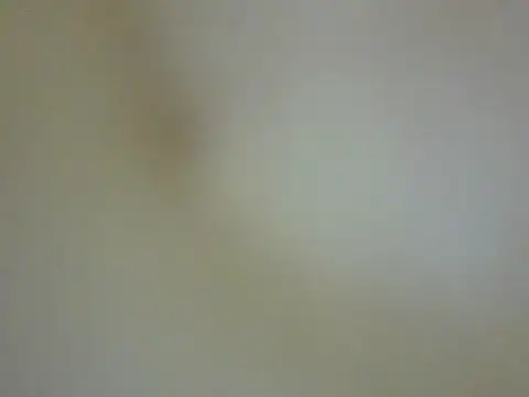 CaptainFox online show from 05-22-26, 07:30