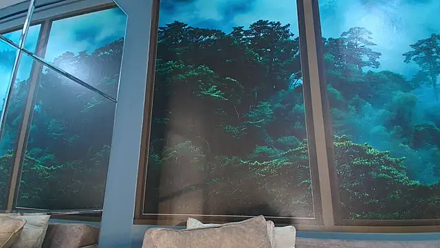 JONAS SMITH  online show from 02-01-25, 06:29