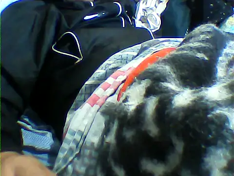 messi syssy online show from 09-25-25, 08:34