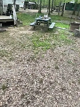 Themechanic420 online show from 04-04-26, 02:58