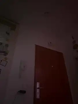 Toyjungee online show from 12-23-24, 01:03