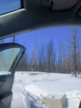 GoldenFlameGoddess online show from 03-06-25, 07:54