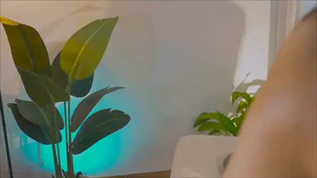 Snapshot of anabelcurvy chatting on 02-06-25, 04:03 anabelcurvy online show from 02-06-25, 04:03