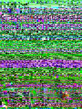 versetopcouple online show from 10-29-25, 04:09