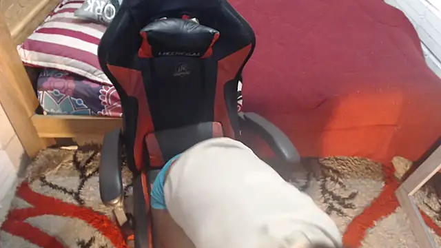 sexyjustin202 online show from 10-09-25, 01:58