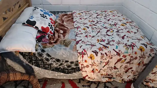 sexyjustin202 online show from 12-15-25, 10:58