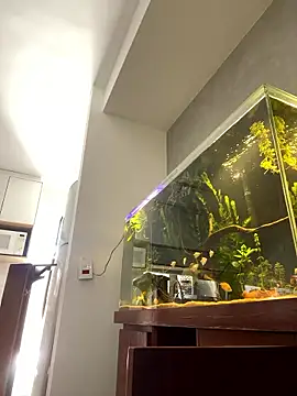 Ravixx online show from 01-11-26, 02:11