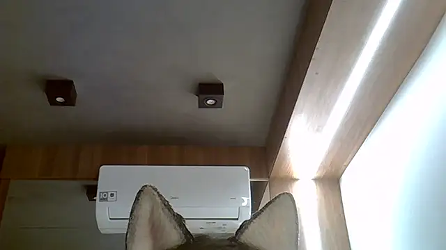 Snapshot of Skinny-Kitten chatting on 09-20-25, 02:45 Skinny-Kitten online show from 09-20-25, 02:45