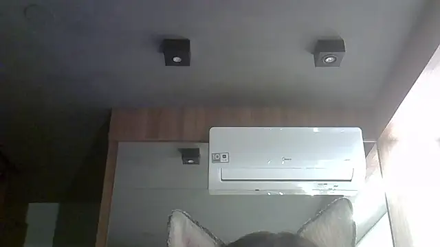 Snapshot of Skinny-Kitten chatting on 10-04-25, 12:30 Skinny-Kitten online show from 10-04-25, 12:30