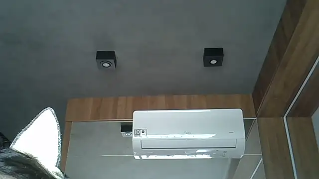 Snapshot of Skinny-Kitten chatting on 10-09-25, 12:36 Skinny-Kitten online show from 10-09-25, 12:36