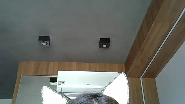 Snapshot of Skinny-Kitten chatting on 10-12-25, 02:27 Skinny-Kitten online show from 10-12-25, 02:27