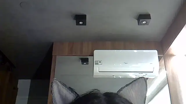 Snapshot of Skinny-Kitten chatting on 10-20-25, 01:39 Skinny-Kitten online show from 10-20-25, 01:39