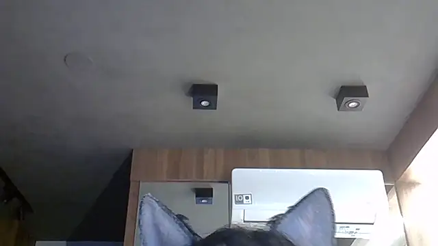 Snapshot of Skinny-Kitten chatting on 10-31-25, 09:21 Skinny-Kitten online show from 10-31-25, 09:21