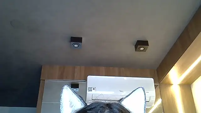 Snapshot of Skinny-Kitten chatting on 11-01-25, 09:33 Skinny-Kitten online show from 11-01-25, 09:33