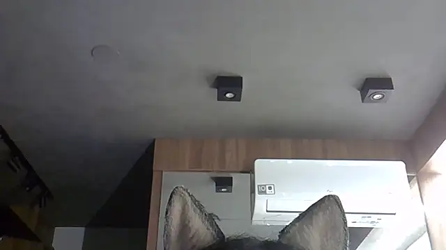 Snapshot of Skinny-Kitten chatting on 11-05-25, 03:39 Skinny-Kitten online show from 11-05-25, 03:39