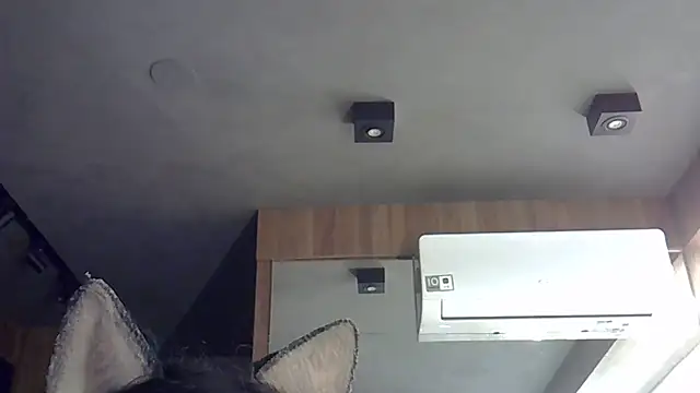 Snapshot of Skinny-Kitten chatting on 11-13-25, 02:38 Skinny-Kitten online show from 11-13-25, 02:38