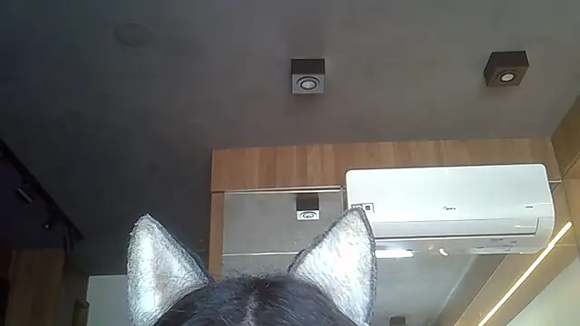 Snapshot of Skinny-Kitten chatting on 11-19-25, 12:16 Skinny-Kitten online show from 11-19-25, 12:16