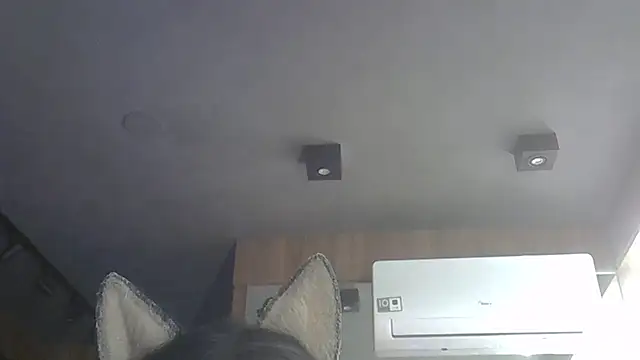 Snapshot of Skinny-Kitten chatting on 11-27-25, 03:47 Skinny-Kitten online show from 11-27-25, 03:47