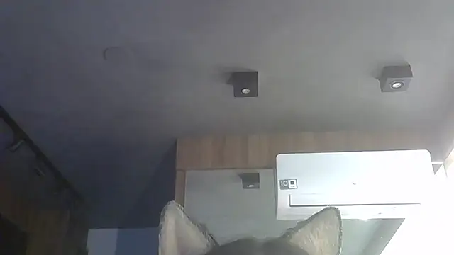 Snapshot of Skinny-Kitten chatting on 12-01-25, 09:47 Skinny-Kitten online show from 12-01-25, 09:47